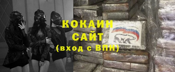 спайс Пересвет