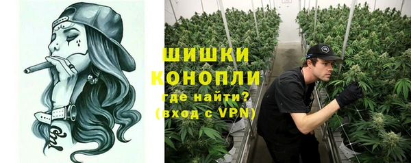 спайс Пересвет