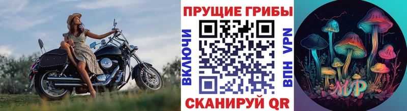мориарти формула  даркнет сайт  Уржум  Псилоцибиновые грибы мицелий 